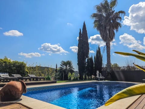 Garden, Garden view, Swimming pool, sunbed