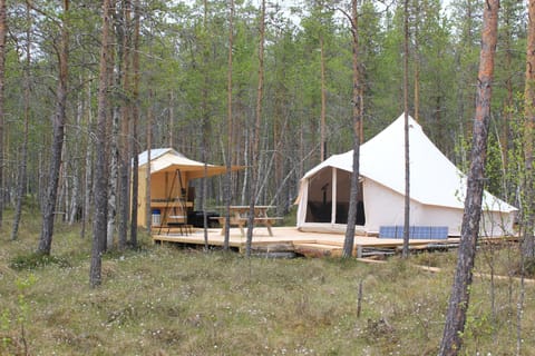 Natural landscape