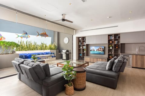 TV and multimedia, Living room