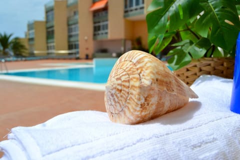 Property building, Pool view, Swimming pool, sunbed