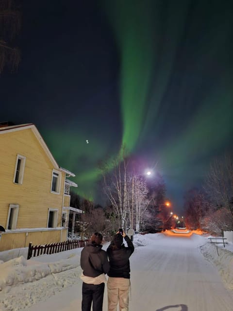 Night, People, Natural landscape, Winter, group of guests