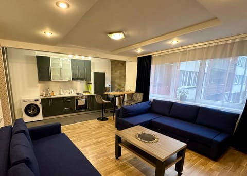 Kitchen or kitchenette, Seating area, Dining area, stove, washing machine