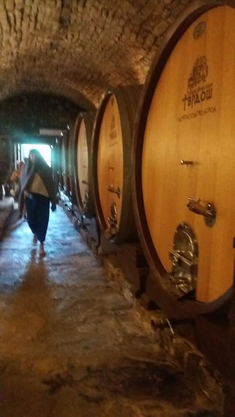 Mostar Downtown Hostel Hostel in Mostar