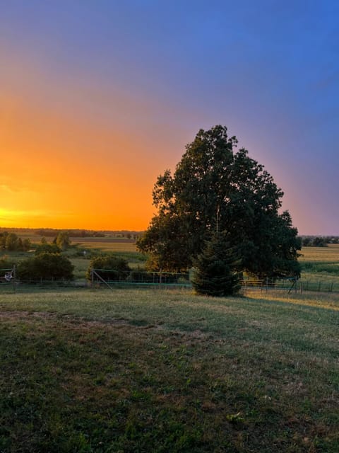 Natural landscape, Sunset
