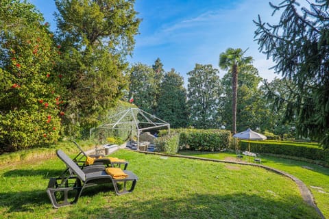 Garden, Garden view, sunbed