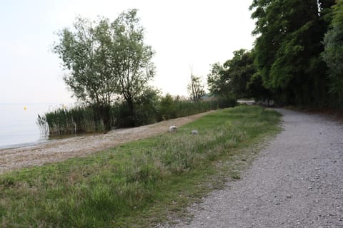 Monika Holiday 619 Green Garda Lake Apartment in Garda