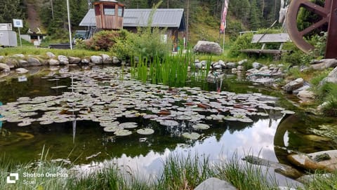 White Pearl Campground/ 
RV Resort in Canton of Grisons