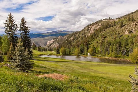 Townsend Place B107 House in Beaver Creek