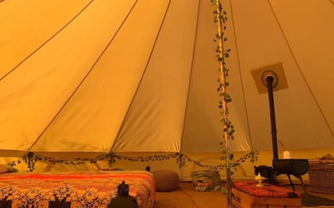 Bed, Photo of the whole room, Seating area