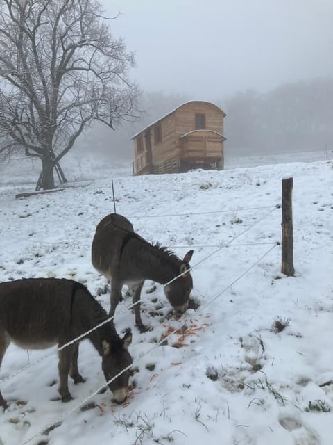 La roulotte de la croix Campground/
RV Resort in Sisteron