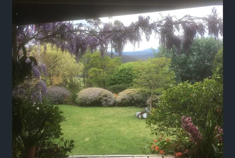 Garden view