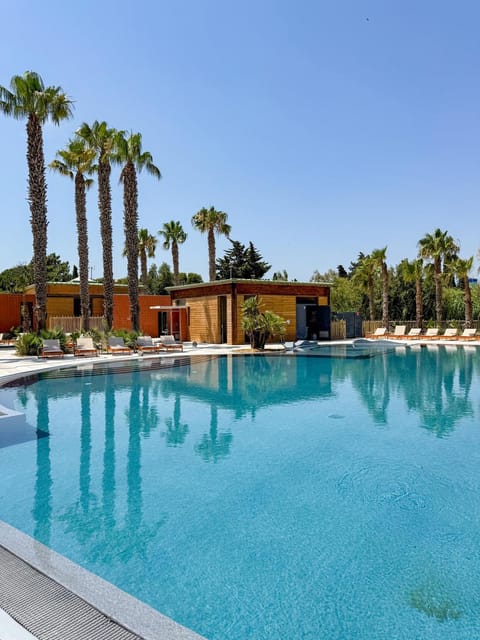 Pool view, Swimming pool