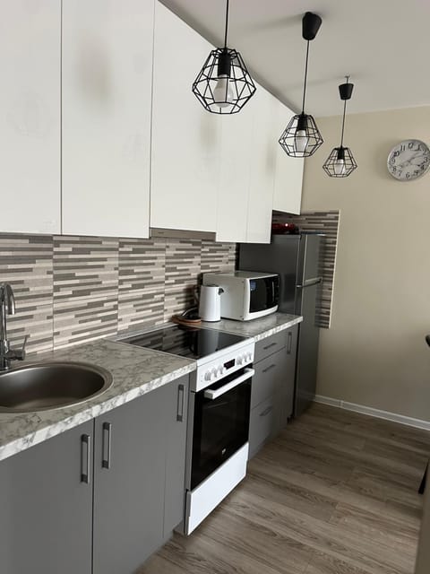 Nijolės apartamentai Apartment in Lithuania