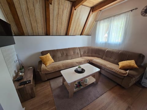 Soko Guest House Apartment in Zlatibor District, Serbia