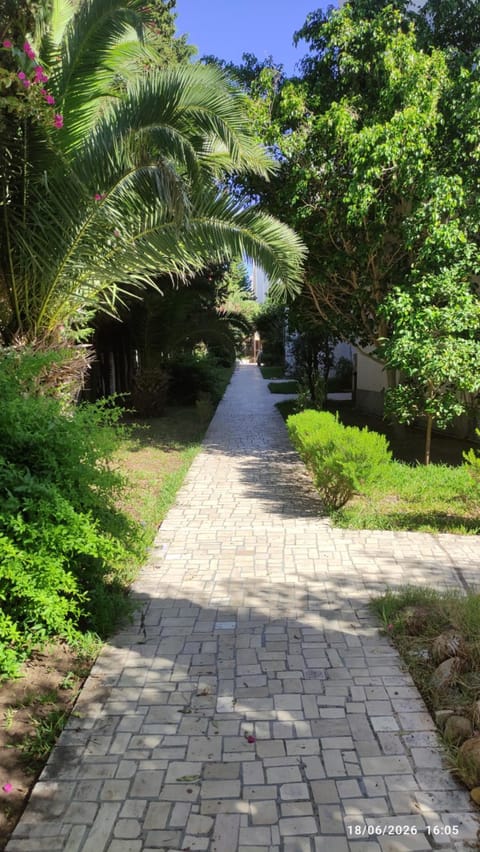 Facade/entrance, Garden