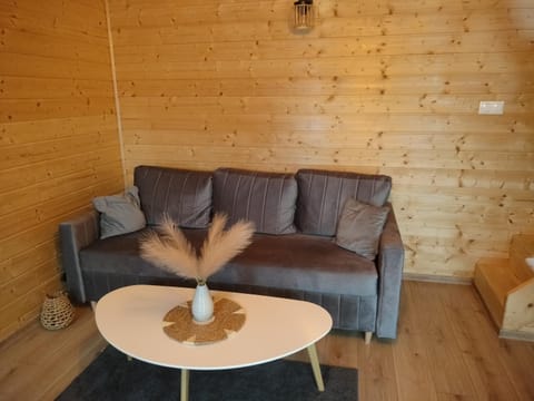 La Cabane Family House in West Pomeranian Voivodeship, Poland