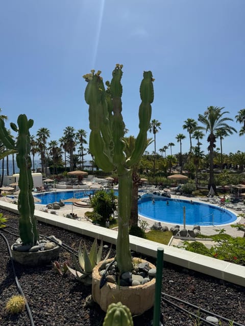 Day, Garden, Garden view, Pool view, Swimming pool