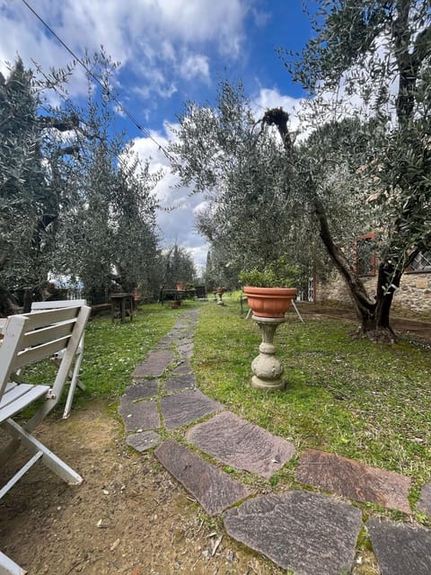 Natural landscape, Garden, Garden view, Inner courtyard view