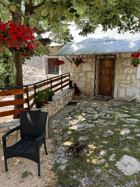 Patio, Garden, Garden view