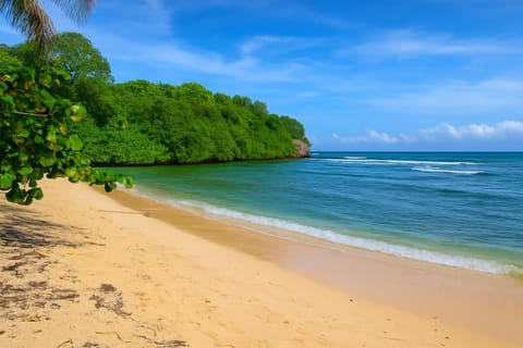 Villa pied dans l'eau Plage de Petit Havre avec piscine Villa in Le Gosier