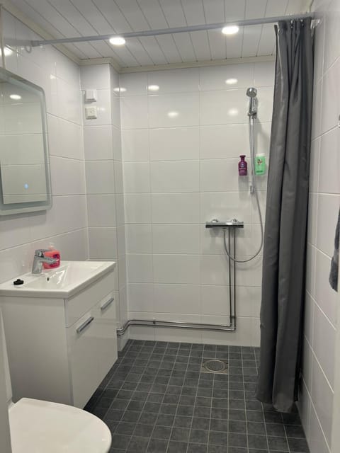 Antinkatu kaksio, as2 Apartment in Finland