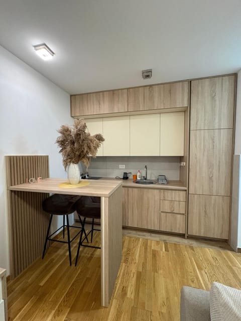 Apartments Masa Apartment in Podgorica