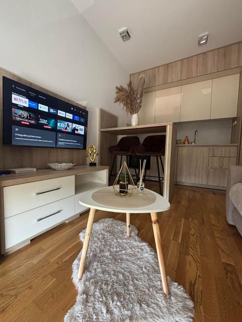 Apartments Masa Apartment in Podgorica