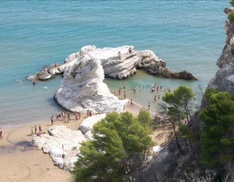 Nearby landmark, Neighbourhood, Natural landscape, Beach