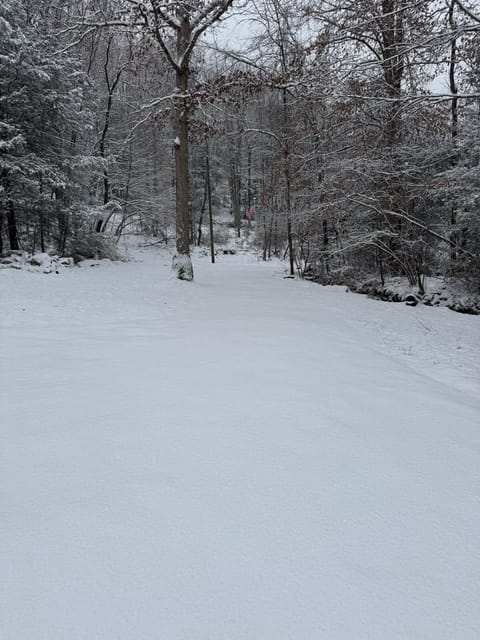 Serene Cabin between Fayetteville& Summerville WV Cabin in West Virginia