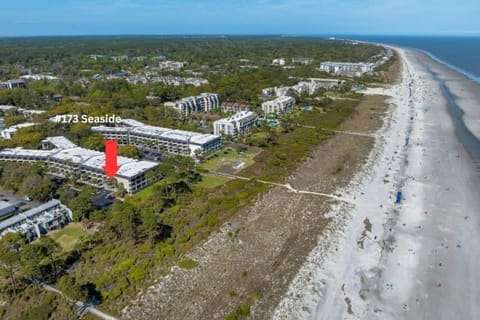 Coastal Breezes & Ocean Views Seaside Hilton Head Villa Villa in South Forest Beach