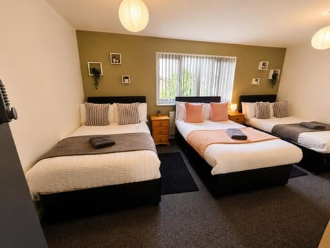 Bed, Living room, Photo of the whole room, Seating area, Bedroom