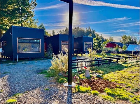 Day, Natural landscape, Garden