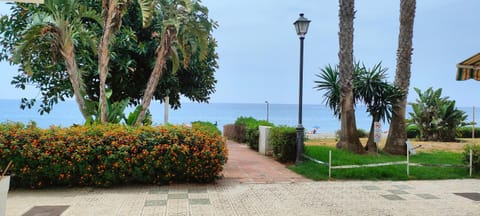 Natural landscape, Garden, Garden view, Sea view