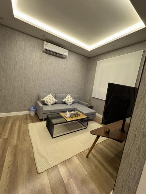 TV and multimedia, Living room, Photo of the whole room, Seating area, Evening entertainment, air conditioner