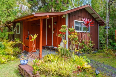 Property building, Garden view