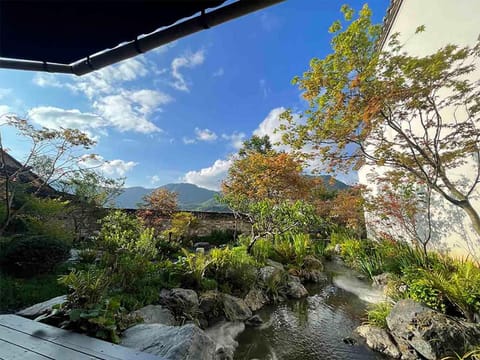 Natural landscape, Garden, Garden view, Mountain view