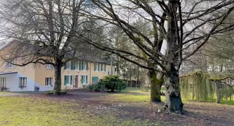 Property building, Natural landscape, Garden, Garden view