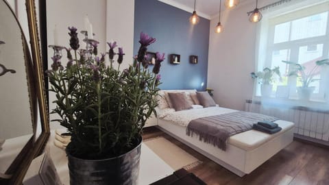 Bed, Photo of the whole room, Seating area, Bedroom, towels