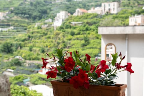 Property building, Spring, Day, Natural landscape, Garden, Balcony/Terrace, Garden view, Mountain view