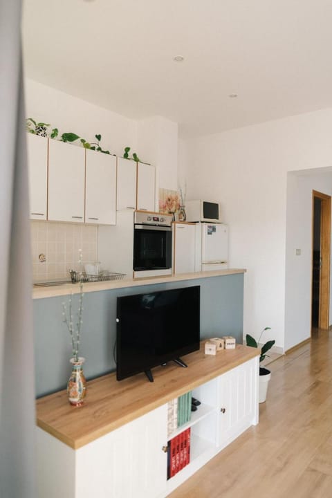 Great View Apartment Apartment in Makarska