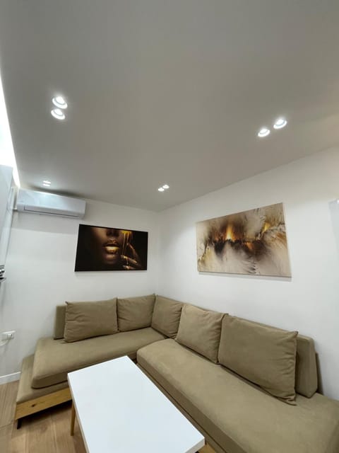 Living room, Decorative detail, oven, air conditioner