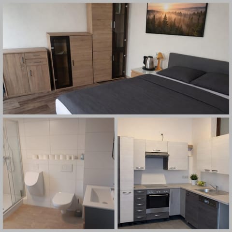 Bathroom, Kitchen or kitchenette, Photo of the whole room, Bedroom, Communal kitchen, room service, kitchen