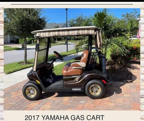 Large 3 bedroom with golf cart House in The Villages