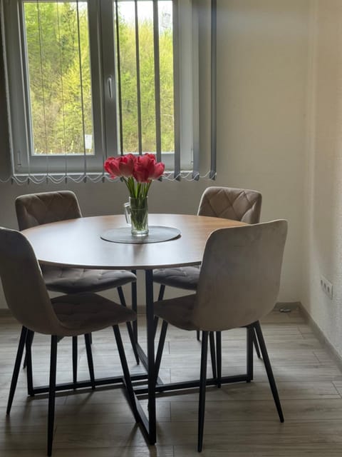 House Sarajka Villa in Sarajevo