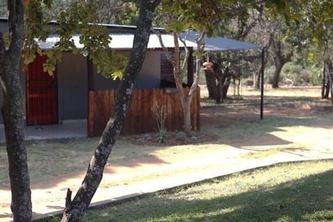 Day, Garden, Garden view