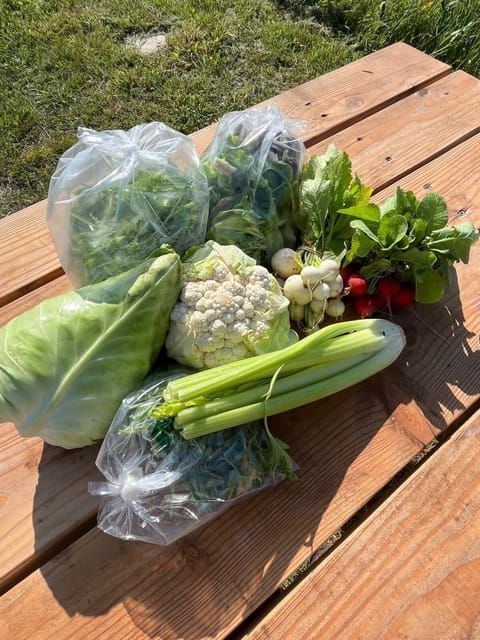 Food and drinks, Food