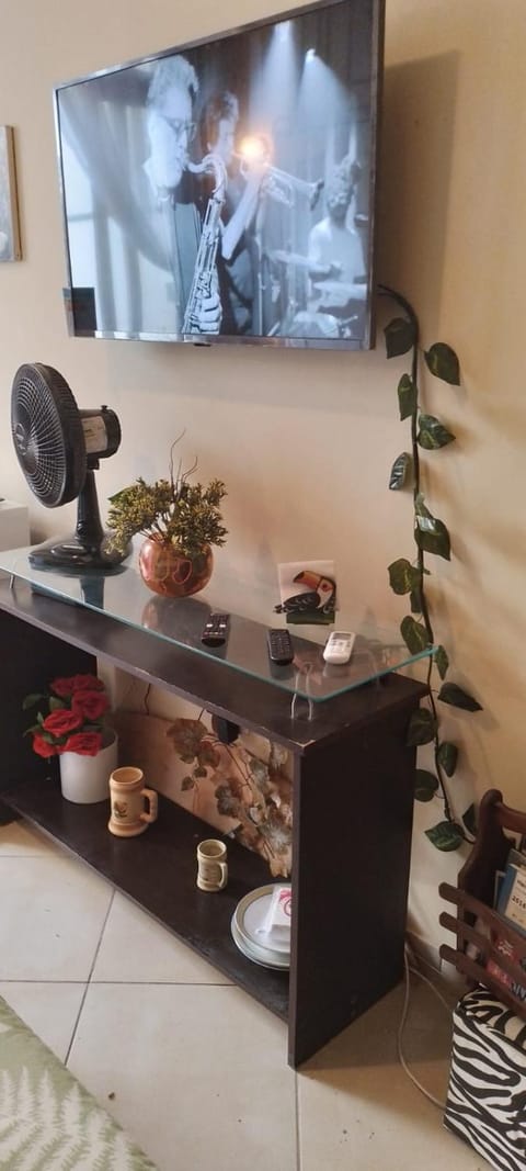 Apê da Terezinha Apartment in Santa Teresa