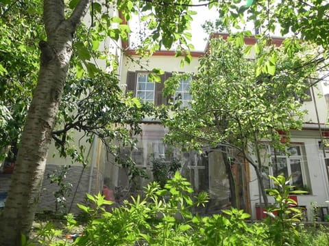 Patio, Garden