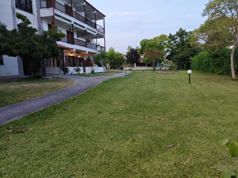 Property building, Neighbourhood, Garden