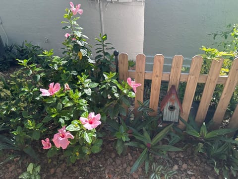 Serenity Gardens private guest suite in Historic Lutz Bed and Breakfast in Lutz